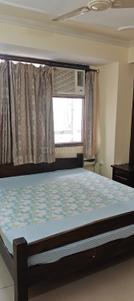 Bedroom Image of 2500 Sq.ft 2 BHK Apartment / Flat for rent in Ashok Nagar Jaipur for Rs. 43000