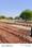 Murliya garden  Plot View 2