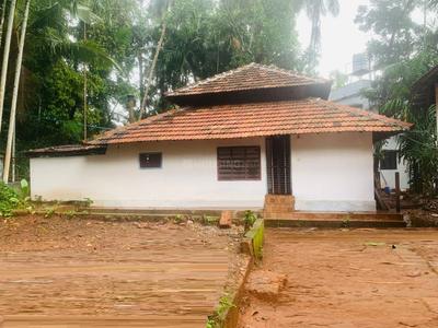 Image of 1100 Sq.ft 2.5 BHK Independent House for rent in Arayidathupalam, Kozhikode for Rs. 16000