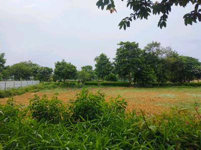Experion The Westerlies Plot View 2