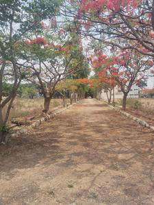 Image of 1672 Sq.ft Residential Plot / Land for sale in Chandapura, Bengaluru for Rs. 7942000