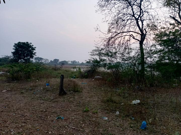 SFS school opposite road Main Image 1