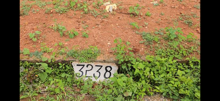 Kommaghatta Main Image 1