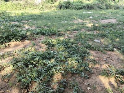 Image of 1525 Sq.ft Residential Plot / Land for sale in Vaishno Devi Circle, Ahmedabad for Rs. 110000000