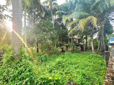 Image of 2610 Sq.ft Residential Plot / Land for sale in North Paravoor, Kochi for Rs. 4500000