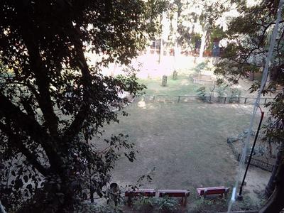 Image of 700 Sq.ft 1 BHK Apartment / Flat for rent in Munirka, New Delhi for Rs. 21000