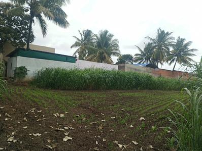 Image of 3238 Sq.ft Residential Plot / Land for sale in New Hubli, Hubli for Rs. 14100000