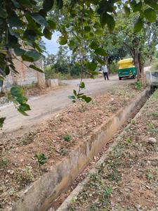 Dibbur Plot View 1