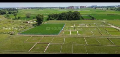 Image of 1200 Sq.ft Residential Plot / Land for sale in Tindola, Lucknow for Rs. 1198800