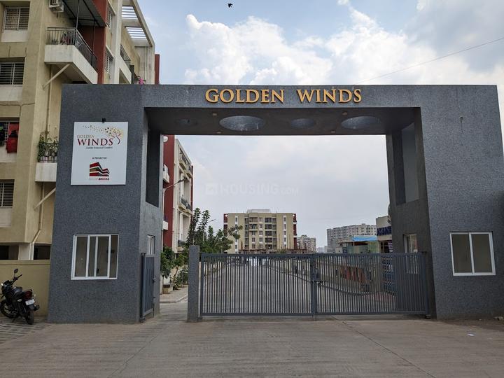 Golden Winds Main Image 1