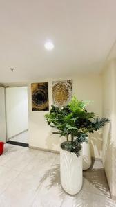 Hall Image of 850 Sq.ft 2 BHK Apartment / Flat for sale in Kolte Patil Little Earth, Kiwale Pune for Rs. 6500000