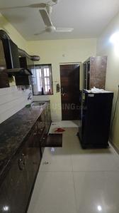 Kitchen Image of 1250 Sq.ft 3 BHK Apartment / Flat for rent in Shrinagar Raipur for Rs. 27000