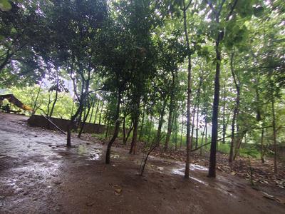 Image of 71041 Sq.ft Residential Plot / Land for sale in Kodiyat, Udaipur for Rs. 190000000