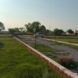 Image of 800 Sq.ft Residential Plot / Land for sale in Amiliha, Kanpur for Rs. 1100000