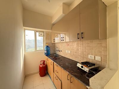 Kitchen Image of 585 Sq.ft 1 BHK Apartment / Flat for rent in Amrapali Dream Valley 2, Noida Extension Greater Noida for Rs. 16500