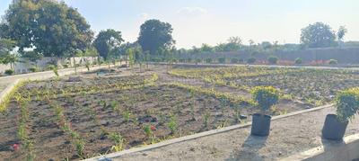 Image of 200 Sq.ft Residential Plot / Land for sale in HPR Avani, Kandi, Sangareddy for Rs. 5600000
