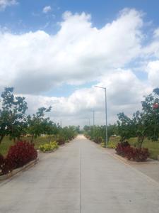 Image of 160 Sq.ft Residential Plot / Land for sale in ACE Arcadia, Maheshwaram, Hyderabad for Rs. 3525000