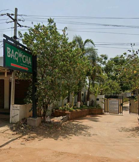 Bagicha Main Image 1