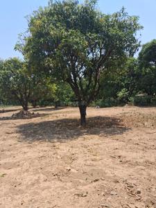 Image of 1800 Sq.ft Residential Plot / Land for sale in Thano, Dehradun for Rs. 7000000