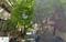 Pattabhirama Nagar Main Image 1