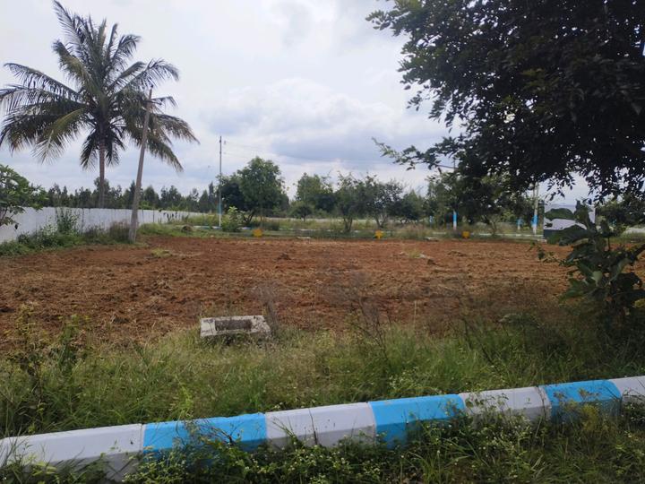 Srushti Silver Woods Main Image 1
