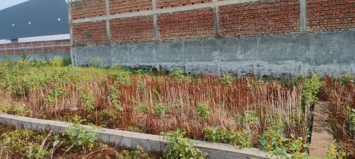Deedarganj Main Image 1