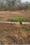 Basaweswara layout Main Image 1