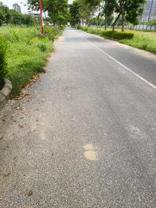Image of 138 Sq.ft Residential Plot / Land for sale in M2K Olive Greens, Sector 104, Gurgaon for Rs. 28290000