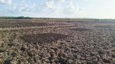 Image of 2000 Sq.ft Residential Plot / Land for sale in jui, Navi Mumbai for Rs. 1200000