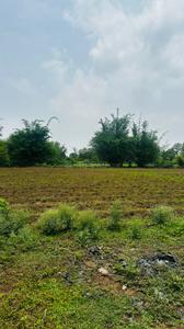 Image of 5000 Sq.ft Residential Plot / Land for sale in Kapasda, Durg for Rs. 2875000