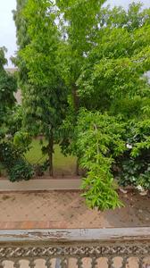 Image of 3600 Sq.ft 4 BHK Independent House for rent in Iscon Ambli Road, Ahmedabad for Rs. 70000