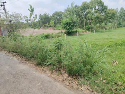 Image of 300 Sq.ft Residential Plot / Land for sale in XU III, Greater Noida for Rs. 31500000