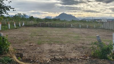 Image of 2920 Sq.ft Residential Plot / Land for sale in Saravanampatty, Coimbatore for Rs. 1960000