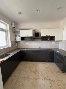 Kitchen Image of 1270 Sq.ft 2 BHK Apartment / Flat for rent in Leela Orchid Greens, Sector 114 Mohali for Rs. 25000