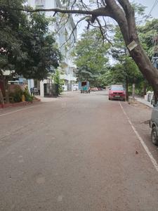 Image of Janajeeva silver palm in Harlur, Bangalore