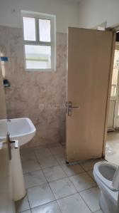 Bathroom Image of 1463 Sq.ft 3 BHK Apartment / Flat for rent in Oxford Square, Noida Extension Greater Noida for Rs. 18000