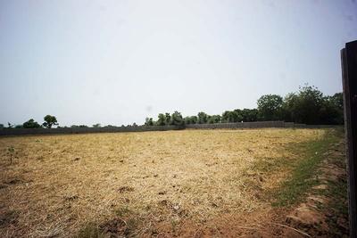 Image of 5688 Sq.ft Residential Plot / Land for sale in Dahegam, Gandhinagar for Rs. 33100000
