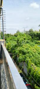 Balcony Image of 720 Sq.ft 2 BHK Builder Floor for rent in Janakpuri New Delhi for Rs. 35000