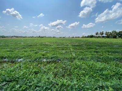 Image of 1200 Sq.ft Residential Plot / Land for sale in Kilpakkam- Arakkonam, Ranipet for Rs. 1000000