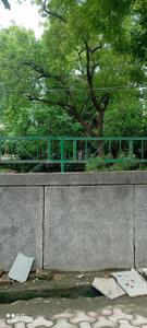 Balcony Image of 1646 Sq.ft 5 BHK Independent House for sale in Sector 41 Noida for Rs. 52500000
