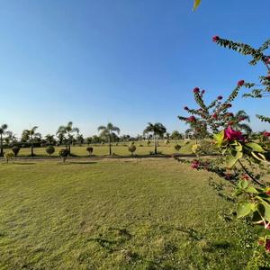 Image of 1000 Sq.ft 3 BHK Independent House for sale in Aranya City Of Woodland Chatoud, Pacheda 1, Raipur for Rs. 2031000