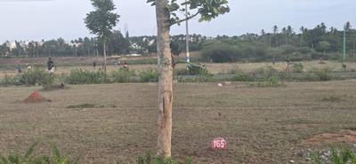 Image of 2342 Sq.ft Residential Plot / Land for sale in Danagalli, Mysore for Rs. 8200000
