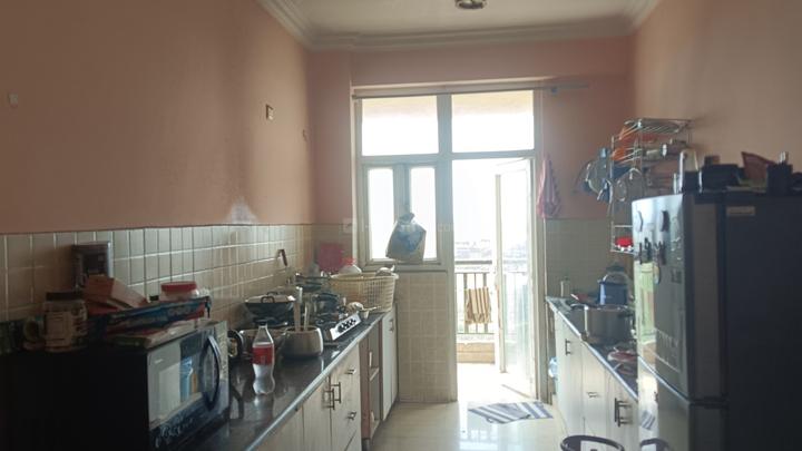 Saviour Greenisle Main Image 1