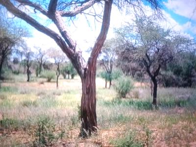 Image of 1089 Sq.ft Residential Plot / Land for sale in Sarde, Navi Mumbai for Rs. 465000