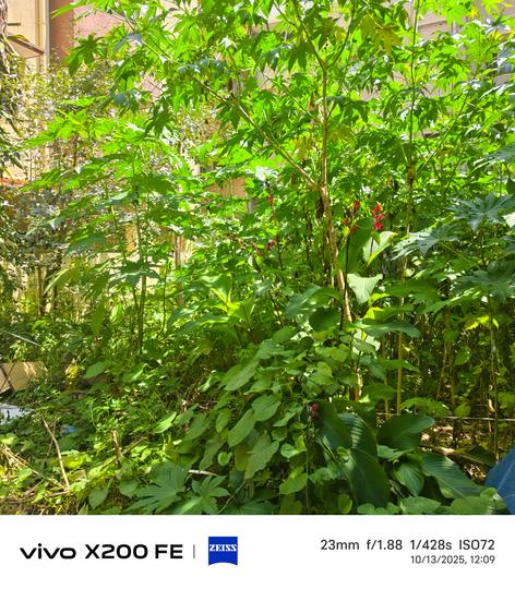 Beml Plot For Sale buddhi grey cross Main Image 1