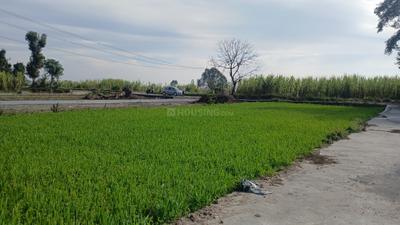 Image of 100 Sq.ft Residential Plot / Land for sale in Doiwala, Dehradun for Rs. 2700000