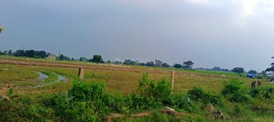 Image of 1000 Sq.ft Residential Plot / Land for sale in Lahangpur, Mirzapur for Rs. 400000