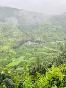 Image of 720 Sq.ft Residential Plot / Land for sale in Mukteshwar, Nainital for Rs. 7250000