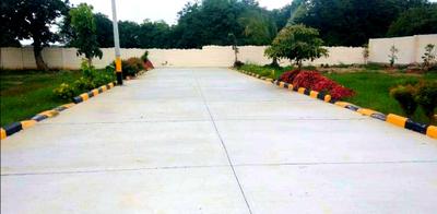 Plot View