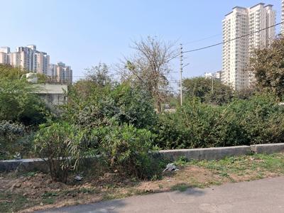 Sector 151 Plot View 3
